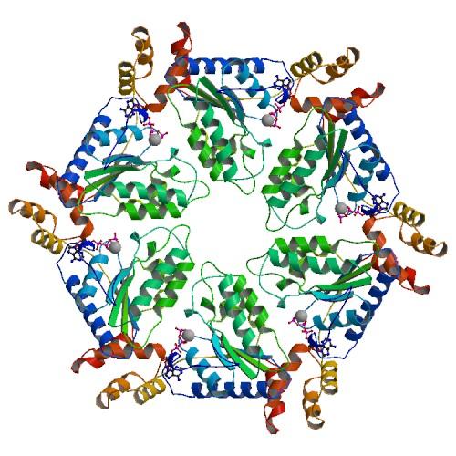 Projevy v chemii Biochemie Struktura proteinů sekundární struktura - vodíkové vazby další úrovně -