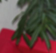 PRODÁVÁME POUZE PRODEJCŮM