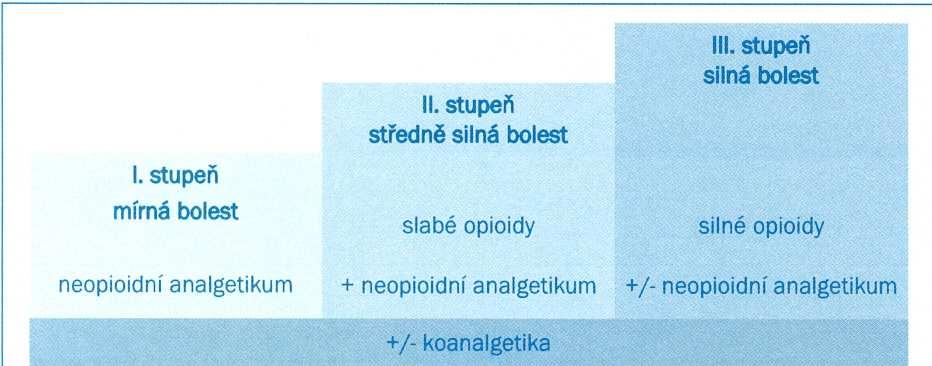 Příloha 6 Analgetický žebříček dle WHO 126