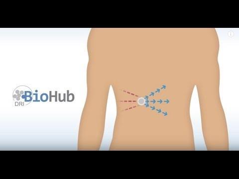 BioHub