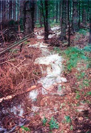 Vícha, Jařabáč, Oceánská, Bíba: Vliv lesních cest na odtoky z horských lesnatých povodí VLIV LESNÍCH CEST NA ODTOKY Z HORSKÝCH LESNATÝCH POVODÍ THE IMPACT OF FOREST ROADS ON THE WATER RUN-OFF WITHIN