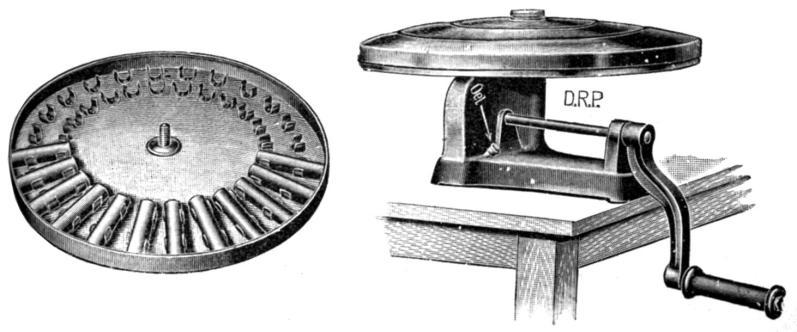 3,42-317. Plemeno H57C37, tedy C (České strakaté, Czech Fleckvieh (CF)) překříženo na Holštýn (HCF). Chov KL (příloha KL; 49.9128703N, 13.