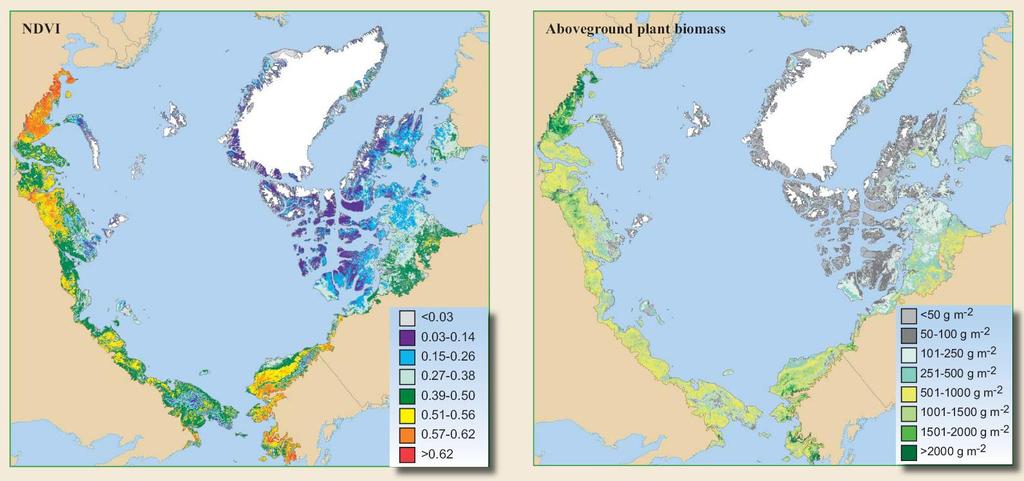 Cirkumpolární arktická vegetační mapa Walker et al.