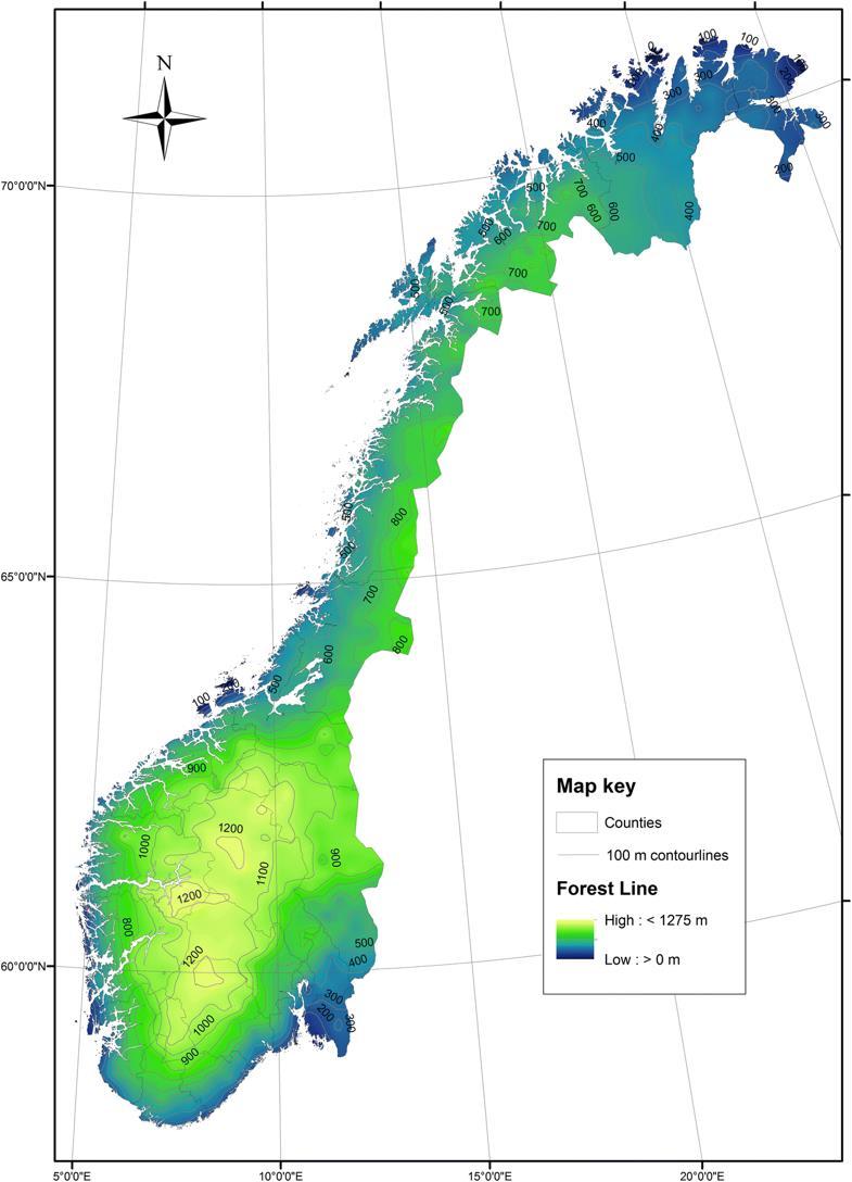 Horská tundra v severní Eurasii Lesní hranice ve Skandinávii tvoří ji Betula pubescens var.