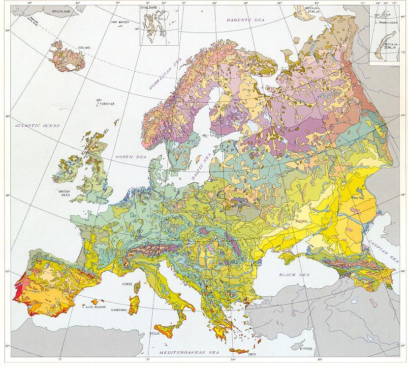 Biogeografické a vegetační členění Evropy Mapa přirozené vegetace Evropy Bohn et al.