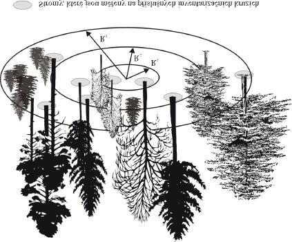 Sber dat základní jednotkou, na které probíhá vlastní merení, je inventarizacní plocha skládá se ze trí ruzne velkých soustredných inventarizacních kruhu, ve kterých probíhá vlastní merení a sber dat