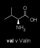 Obr.1 Vzorec vybrané a v této práci studované L- aminokyseliny (převzato z: http://www.chemie.fu-berlin.