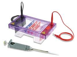 Tloušťka hřebenů 0,75, 1,0, 1,5 a 2,0 mm. Hřebeny s 8 a 12 zuby jsou kompatibilní s multikanálovými pipetami.