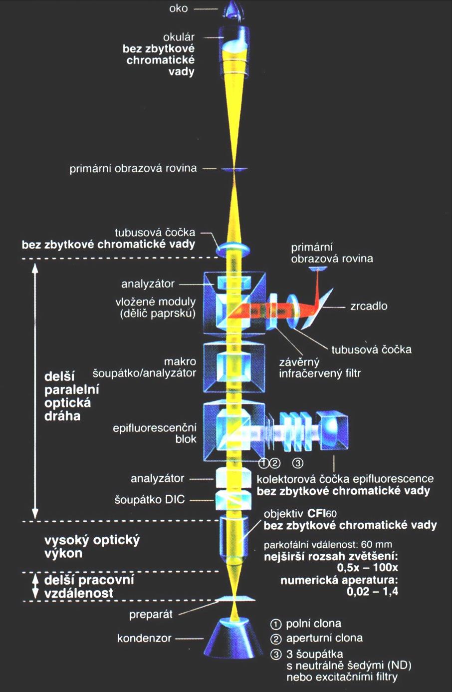 Nikon: Použití optiky CFl60 (s korekcí na nekonečno) označení Schéma dráhy světelných paprsků Výhody: tubusová čočka Primární obrazová rovina - prodloužení délky tubusu vkládání