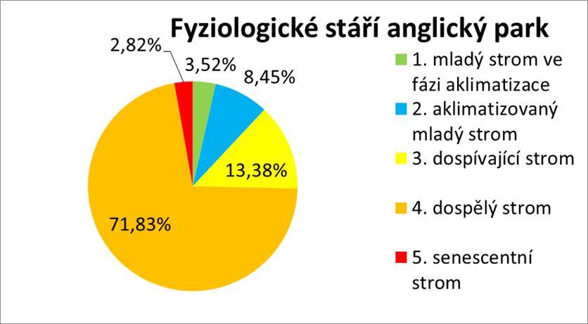 V anglickém parku se nachází mladá výsadba v kategorii 1-2 častěji, přesněji po pěti a dvanácti jedincích.