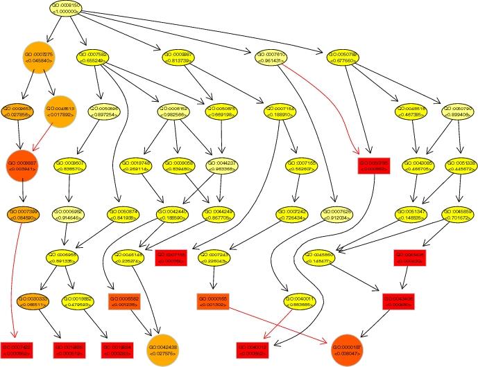 Analýza NGS dat Integrace dat Databáze Protein-protein interakce Ontologie GO (GeneOntology), MeSH terms Transkripční