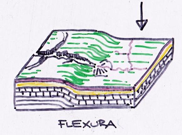 flexura