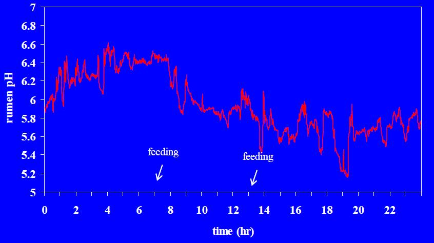 Diurnal variation in ph Vliv