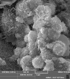 Obr. 12: REM snímek zvětšený 5000, CEM+FA; REF Výše jsou vybrané snímky z rastrovacího elektronového mikroskopu při zvětšení 5000.