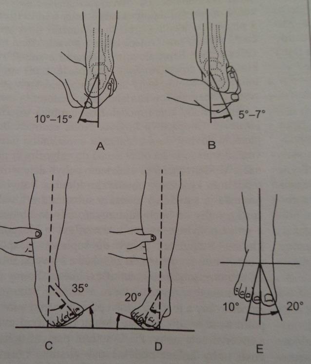 Obrázek 1: Vyšetření pohybů v hleznu Legenda: A,B = vyšetření pasivní inverze a everze nohy C,D = vyšetření aktivní inverze a everze nohy E = pohyb předonoží do abdukce a addukce Zdroj: Dungl (2005)