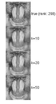 Lineární algebra Aplikace Aplikace matematiky Lineární algebra Low Rank aproximace reprezentace obrázku maticí A SVD rozklad matice A = UDV matice D obsahuje tzv.