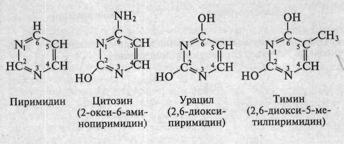 2. Ақуыздың аминоқышқылдық құрамына сипаттама беріңіз. Ақуыздағы пептидтік байланыстың табиғаты қандай? 3. Ақуыз қандай белгілеріне негізделіп жіктеледі? 4.