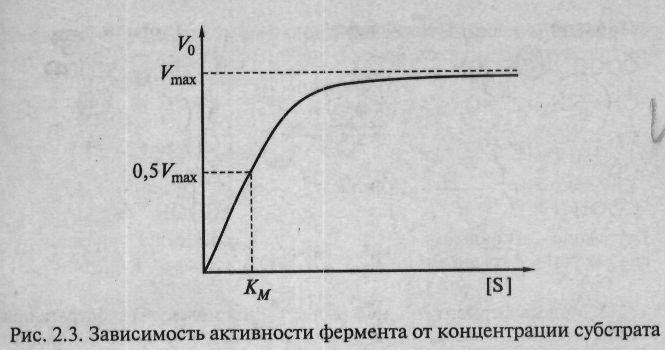 Сурет 8. Фермент белсенділігінің субстрат концентрациясына тəуелділігі Жоғарыда көрсетілген нұсқада катализ сатысы - фермент-субстрат кешенінің Е түзілуі, соңғы саты - өнімнің түзілуі Р.