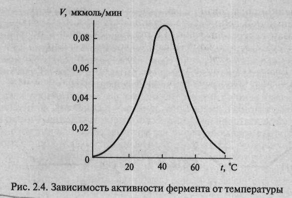 Сандық жағынан Km Михаэлис тұрақтылығы реакция жылдамдығының максимал мəнінің жартысындай болатын жағдайдағы субстрат концентрациясы. Оның өлшем бірлігі Моль.