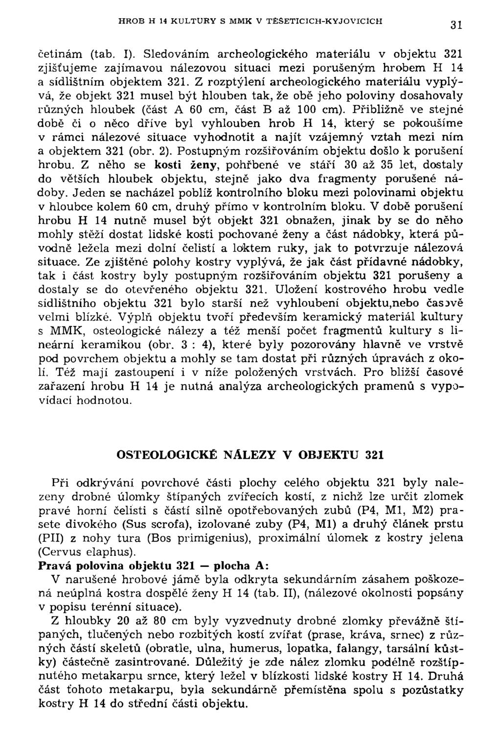 HROB H 14 KULTURY S MMK V TÉSETICICH-KYJOVICÍCH 31 četinám (tab. I).
