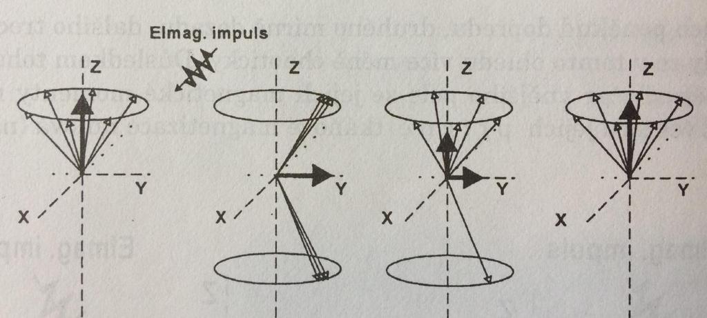 Příloha 20: Obrázek účinku elektromagnetického impulsu na precesi protonů s následnou ztrátou příčné