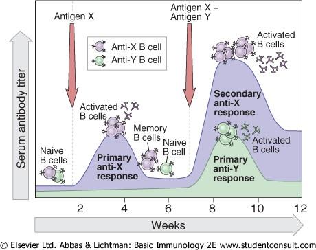 Downloaded from: StudentConsult (on