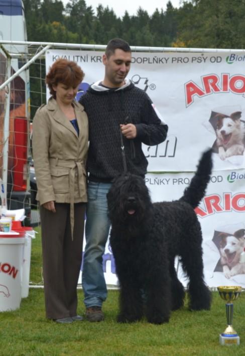 Ze zahraničních účastníků byl nejúspěšnější polský pes TRISTAN VALIKORT WILLA TAIRA, který si