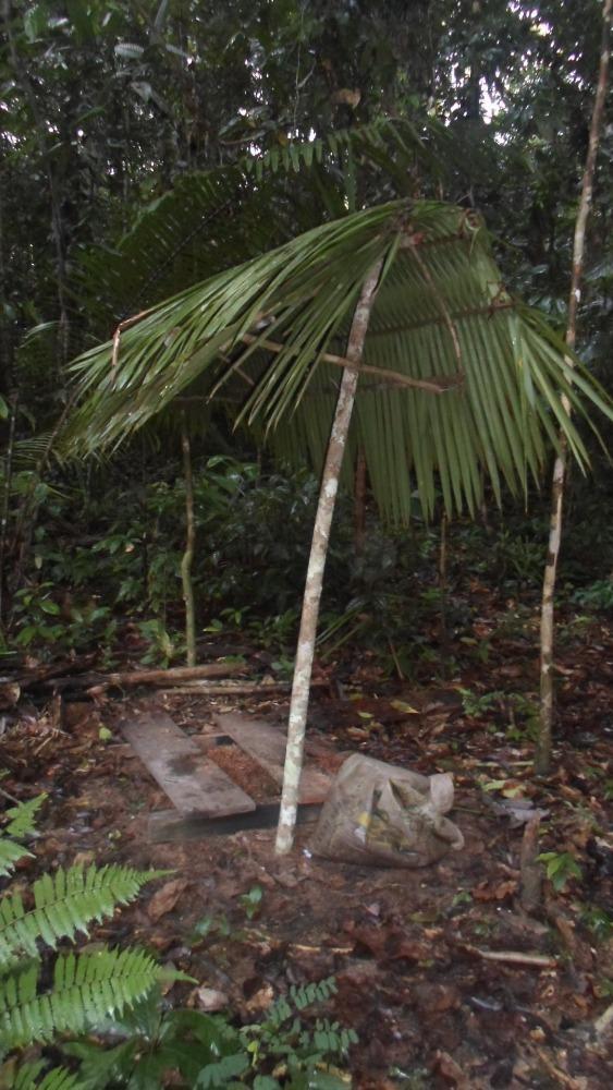 Obrázek 9 Toaleta pro účastníky výpravy (zdroj: Rašková, 2012) S rostoucím zájmem o ayahuascu si i místní lidé začínají více uvědomovat její hodnotu.