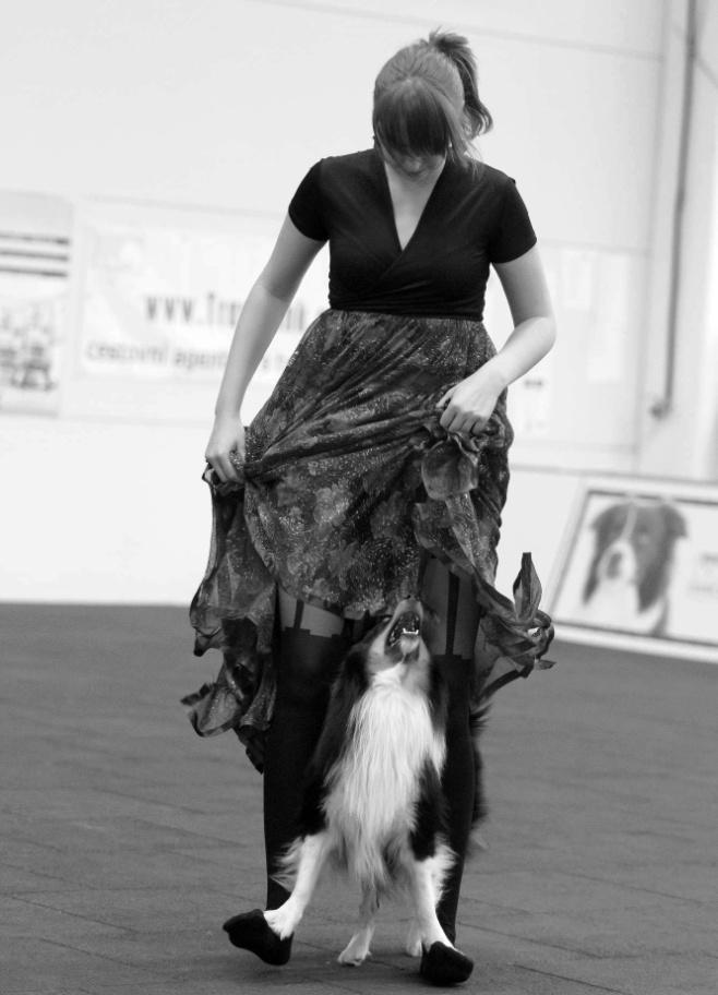 místo na MČR kolií a šeltií 2013 Kategirie dogdancing SHE Big Biaggi z Bučávky maj.