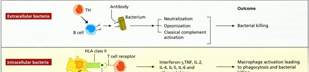 11)