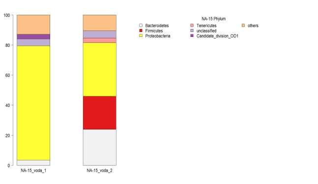 Výsledky NGS TUL: NA-15, úroveň phylum = kmen Zjednodušená forma NGS Dominantní: