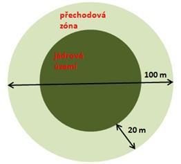 5. Do grafu vpravo načrtněte, co se stane s logaritmickou křivkou popisující závislost počtu druhů (S) na velikosti ostrova (A), zlogaritmujete li obě proměnné. 6.