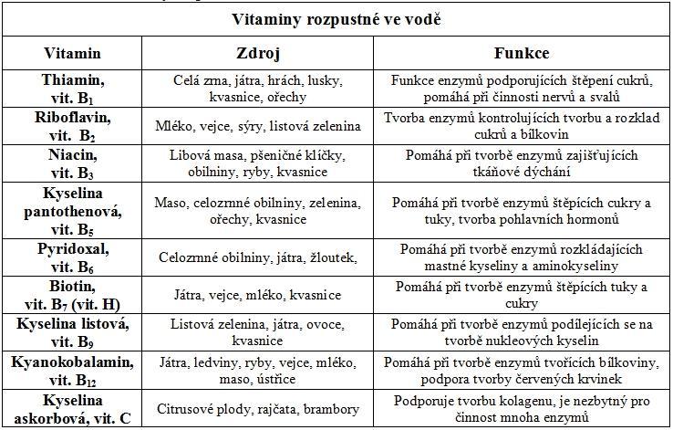 Výživa