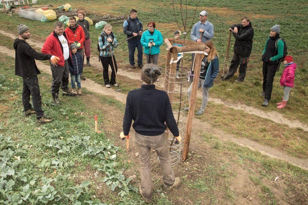 3. 4. LIDSKÉ ZDROJE (ZAJIŠTĚNÍ REALIAZCE) DODAVATELSKY: - VÝBĚR DODAVATELE PŘÍMÝM ZADÁNÍM, - VÝBĚROVÝM ŘÍZENÍM.