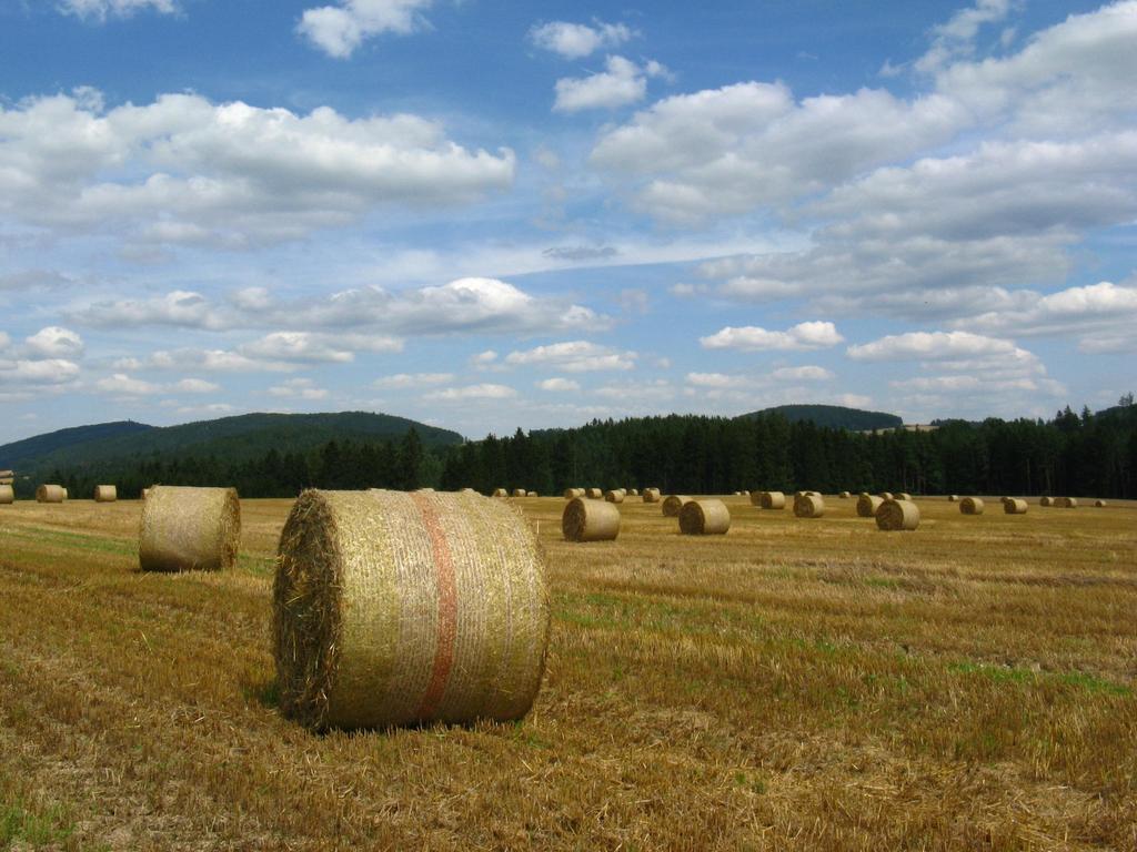 Děkuji za pozornost. RNDr.