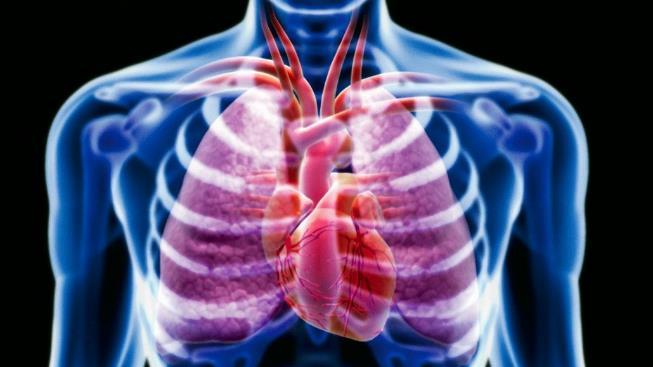 Změny respirační útlak hrudních orgánů: klesají ventilační parametry