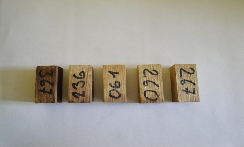 Obr. 19 Odtrhané vzorky Obr. 19 Znázorňuje působení houby v čase 0, 1, 2, 3, 4, měsíce na dřevo akátu z prava Působení dřevokazné houby outkovky pestré na dřevo akátu, se projevilo barevnými změnami.