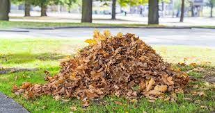 Společnost Megawaste žádá občany, aby do popelnic nesypali listí.