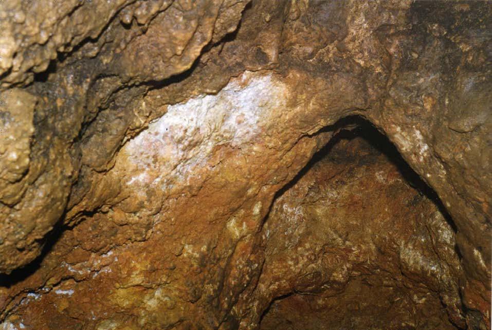 - 41- Obrázek dole : A takhle vypadá koncové místo prokopané chodbičky v Jezevčí jeskyni, kde chodbička přechází do vertikály. Tohoto místa dosáhl Trávníček s Huserem.