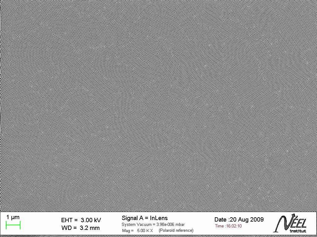Obr. 6.6: SEM obrázek povrchu membrány s průměry pórů 60 nm. Je zde patrná vysoká kvalita povrchu bez defektů.