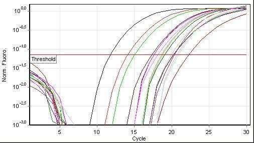 6.9.2 Amplifikace DNA z probiotických výrobků v real-time qpcr (rod Lactobacillus) Do směsí qpcr byl použit 1 μl DNA izolované z probiotických výrobků, kvantifikovaná koncentrace přidané DNA je