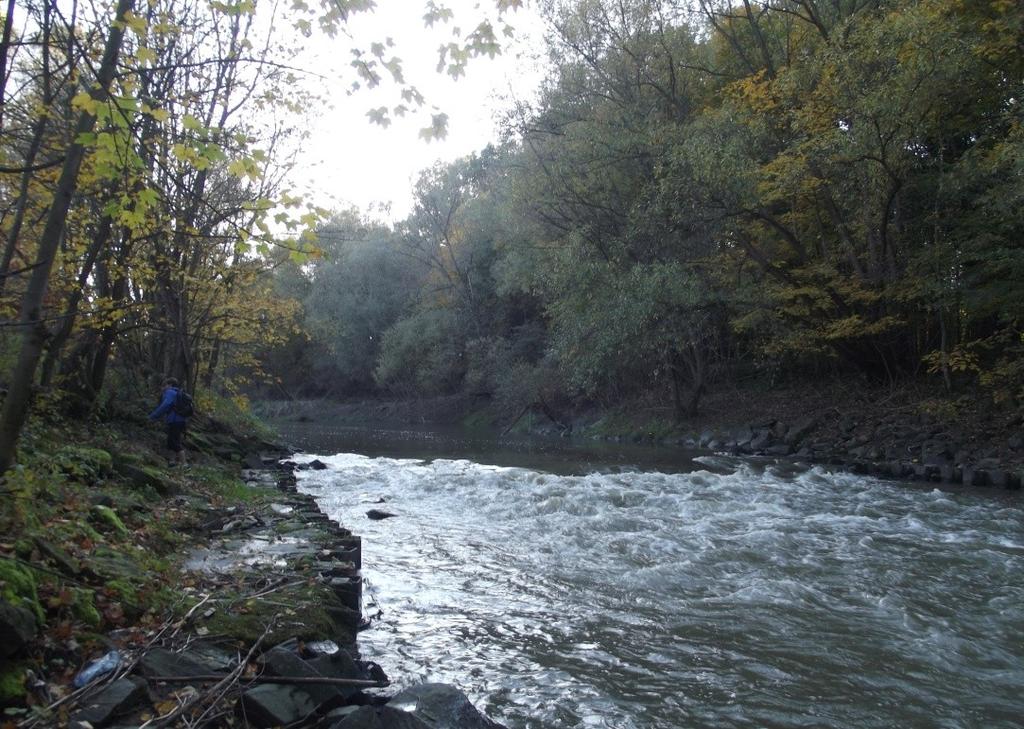 Na Obrázek 2 je fotografie, ne které je zachycen regulovaný tok řeky Odry.