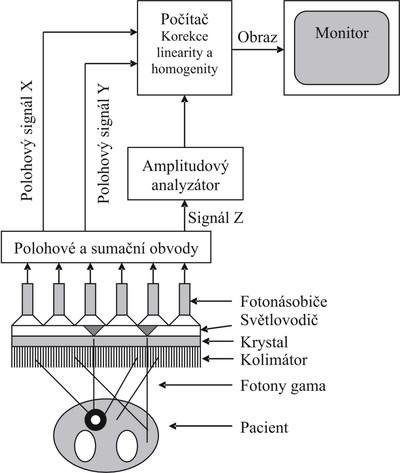 Obr. 6 Schéma přenosu informace scintilační kamerou Z parametrů scintilační kamery, jež ovlivňují obraz, můžeme zmínit tři nejdůležitější: homogenita zorného pole (uniformita) schopnost kamery