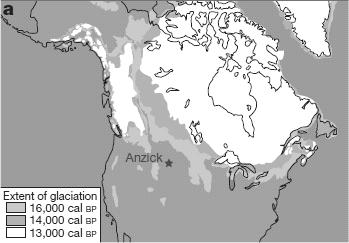 Analýza Anzick-1 naleziště Anzick, západní Montana, USA chlapec žil před 12 500 lety, zástupce kultury Clovis (paleoindián) Analýza genomu: potvrzuje genový tok z mladopaleolitické sibiřské populace