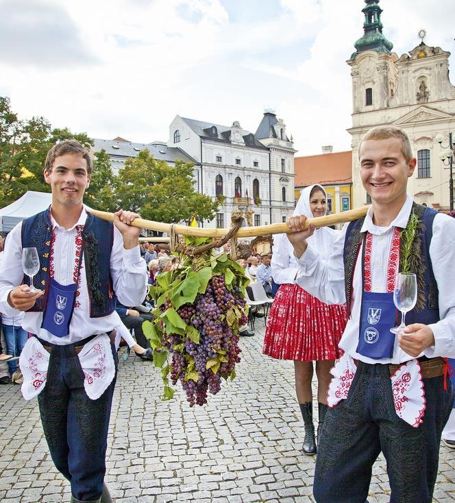 2012-2016 Východní Morava -