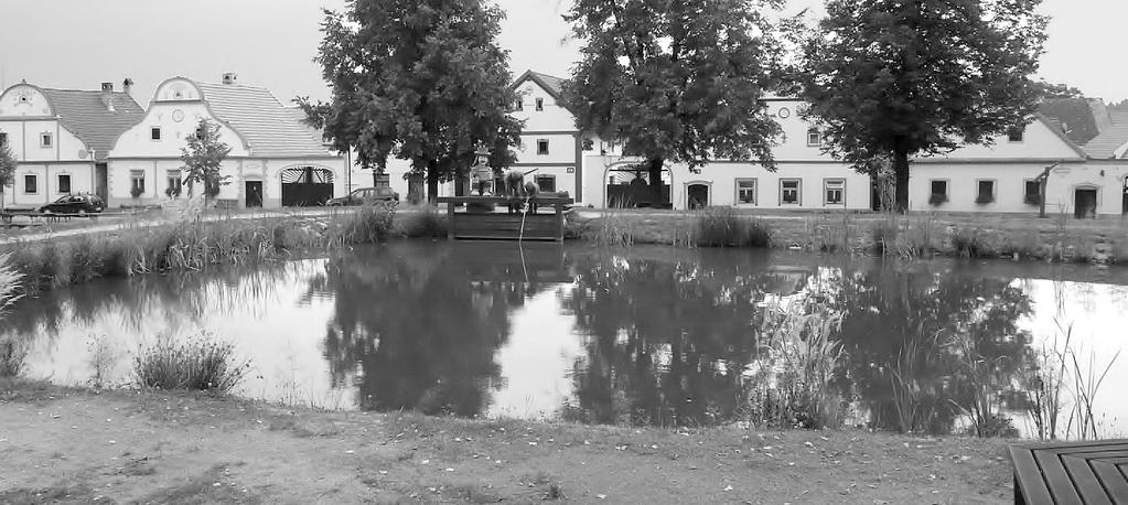 nad kulturou (civilizací). Tuto na ničem nezávislou hodnotu přírody je třeba začlenit do základního školního a občanského vzdělání.