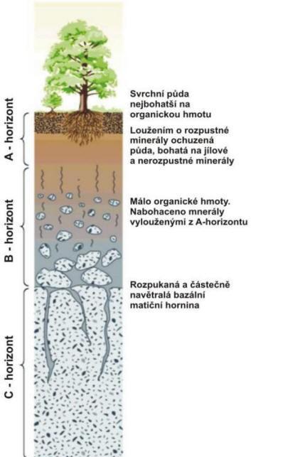 P ůdní profil