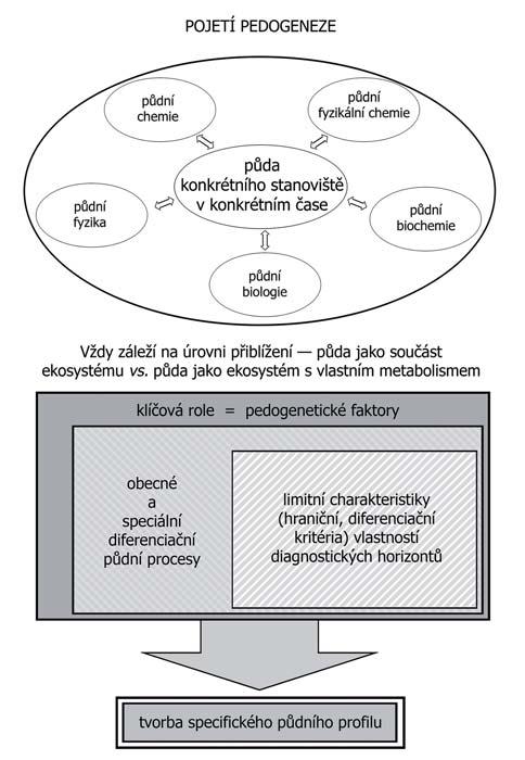 250 Půda, její vlastnosti a procesy Půdní taxonomie 251 Navíc neexistuje, jak jsme si řekli hned v úvodu této subkapitoly, jednotný klasifikační systém světa či kontinentu (viz dále)!