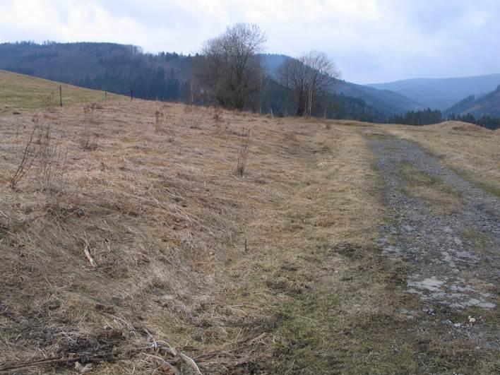 V severním okraji plochy se nachází vzrostlá hodnotná lípa a drobná dřevěná stavba, podél cesty byla nedávno provedena liniová výsadba dřevin.