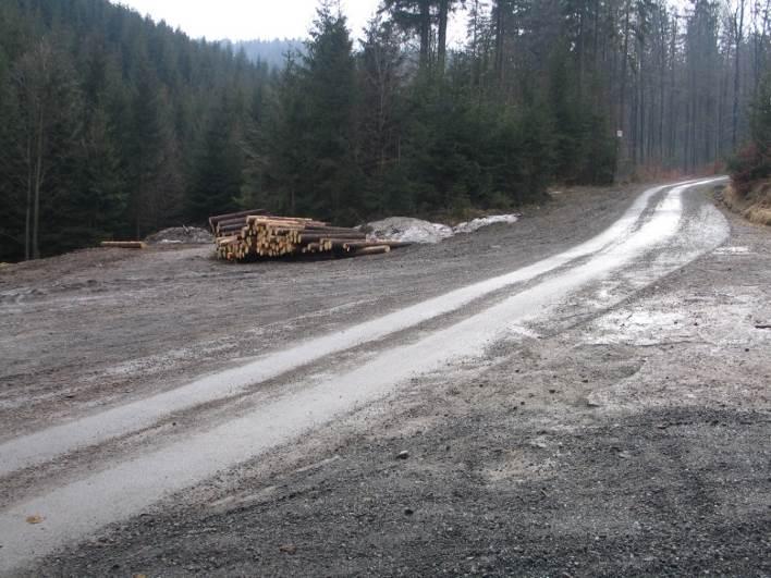 Foto 49: Pohled na rozšířenou část plochy Z80, která je částečně využívána jako těžební rampa/skládka dřeva a částečně pro parkování návštěvníků areálu.